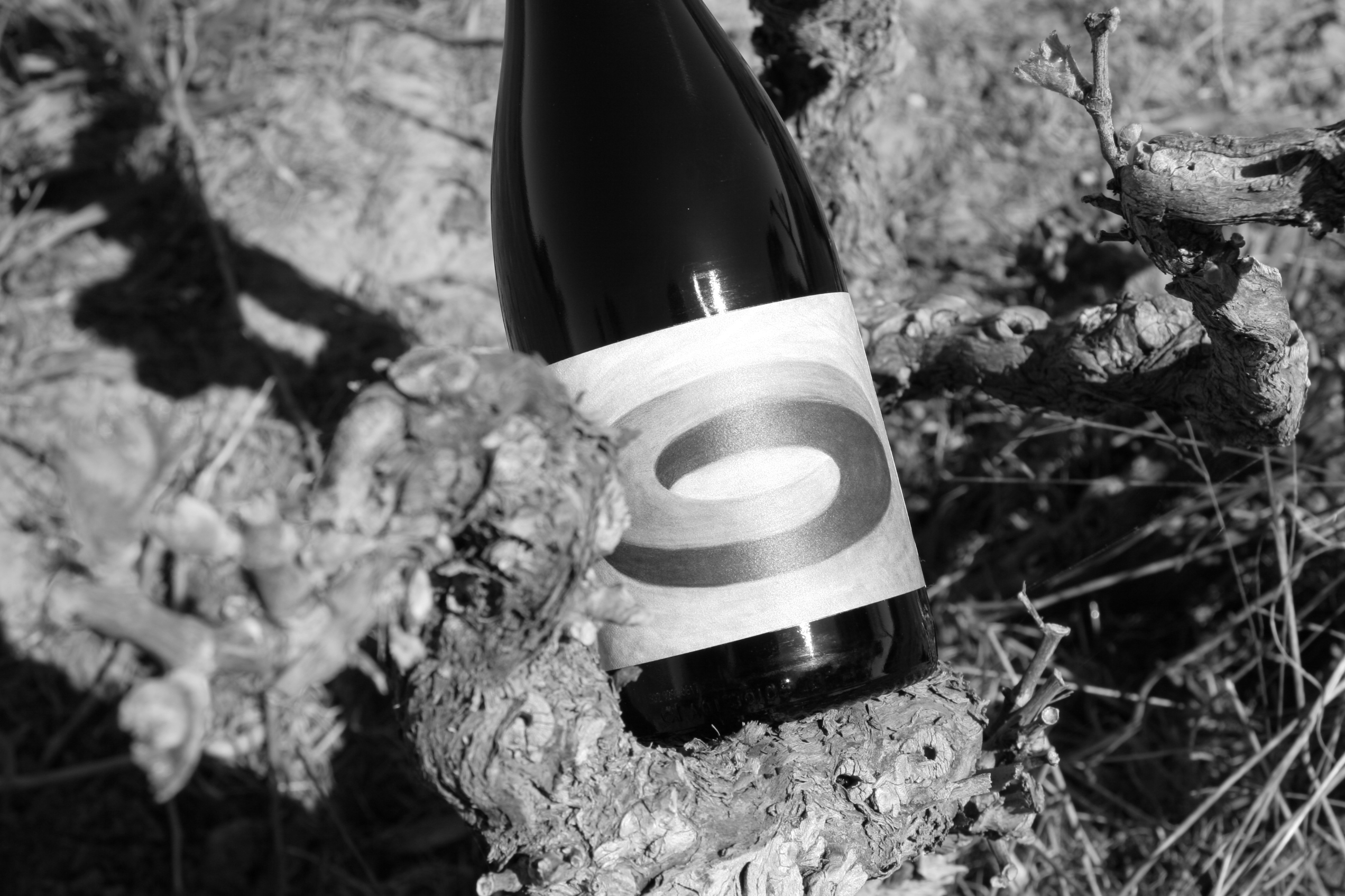 Black and white photo of wine bottle